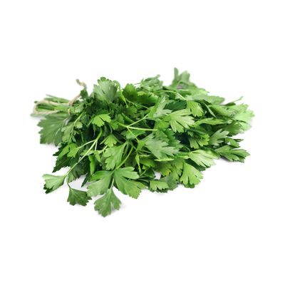Cilantro
