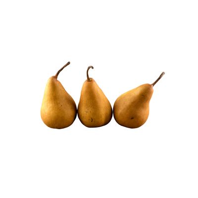 Bosc Pears