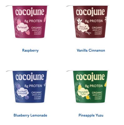 SALE Plant-based Yogurt - Vanilla Cinnamon Coconut Protein Blend