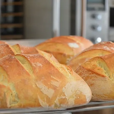 Pain de Campagne (French Country Bread Loaf) Pain de Campagne (French Country Bread Loaf)