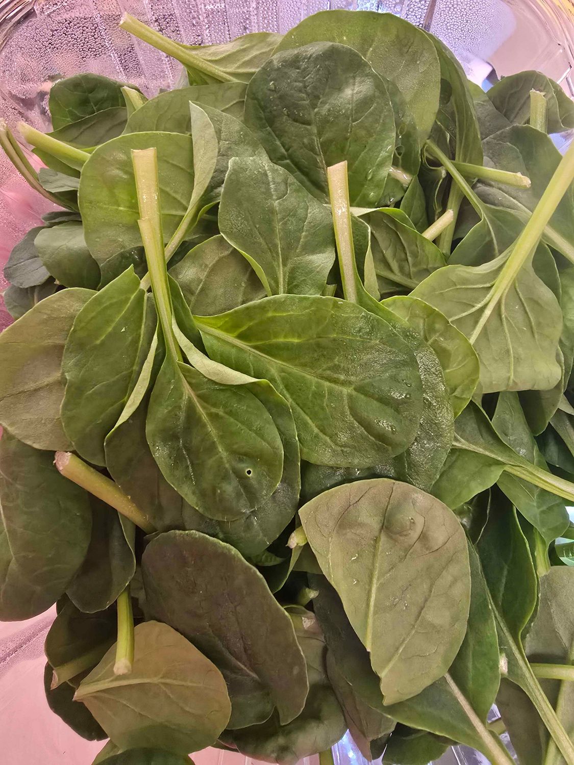 Baby Tatsoi