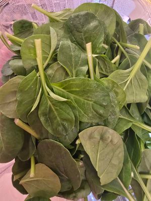 Baby Tatsoi