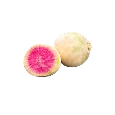 Watermelon Radish Watermelon Radish