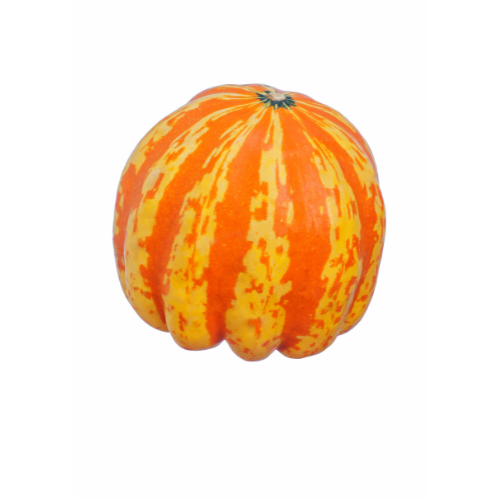 Carnival Squash