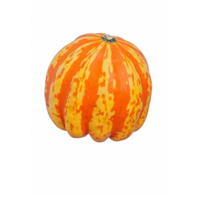 Carnival Squash