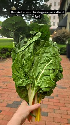 Swiss Chard
