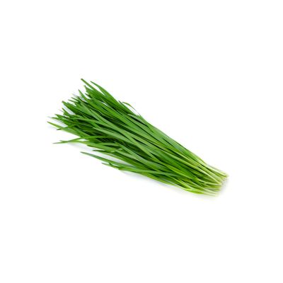 Green Garlic
