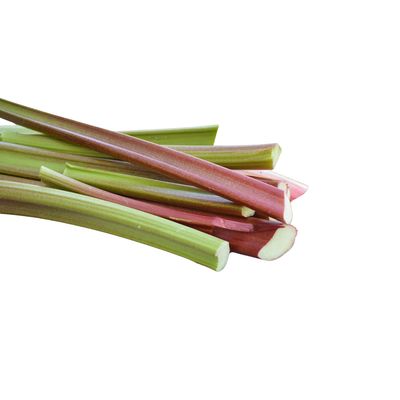 Rhubarb Stalk
