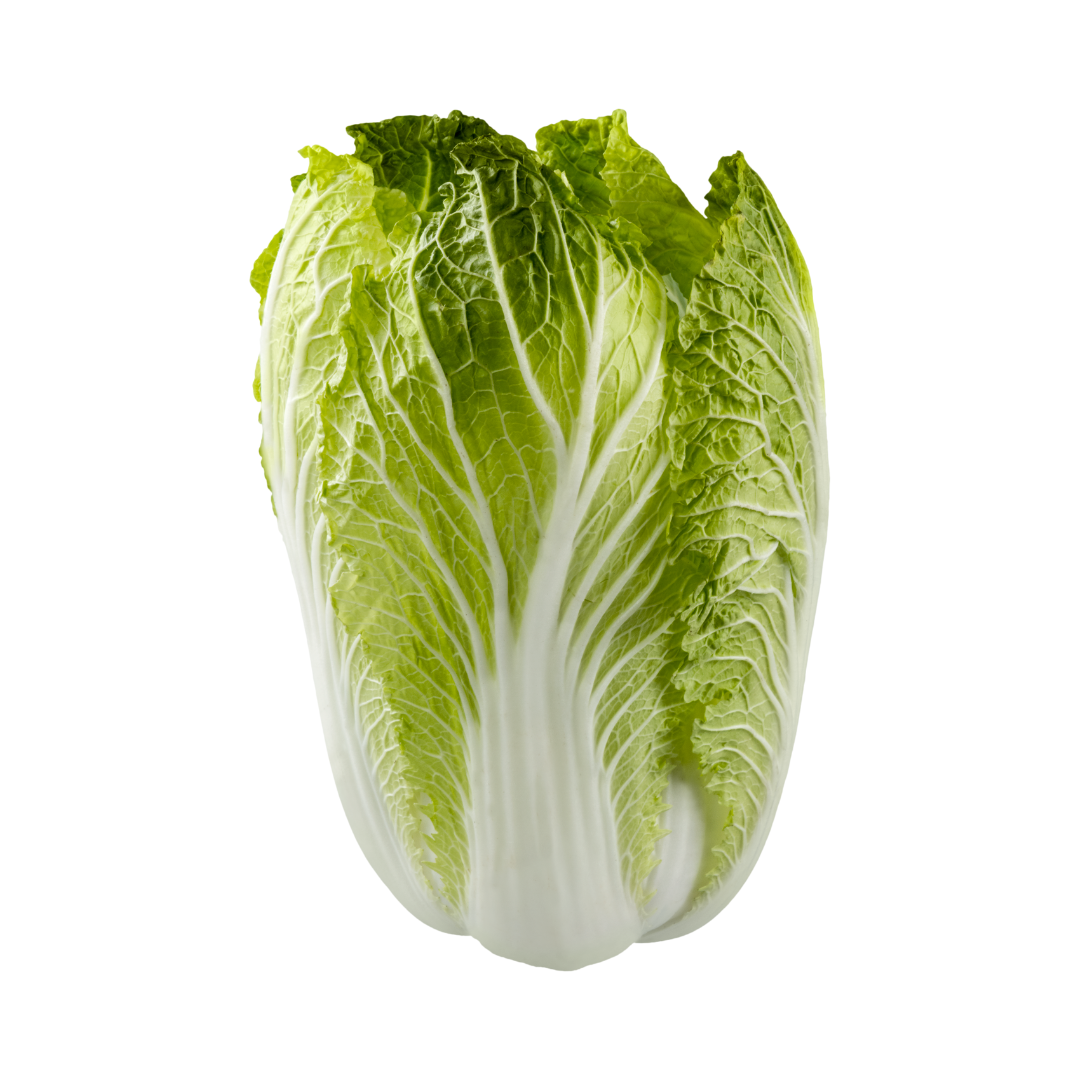 Napa Cabbage Napa Cabbage