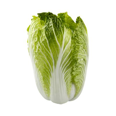 Napa Cabbage