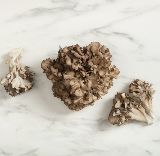 Maitake Mushrooms