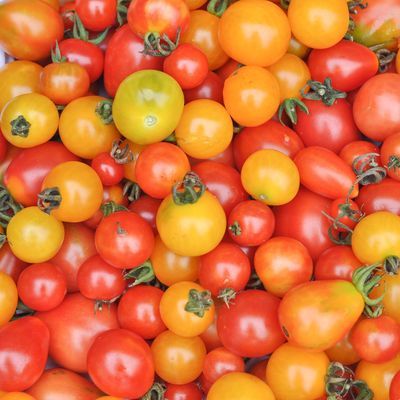 Cherry Tomatoes