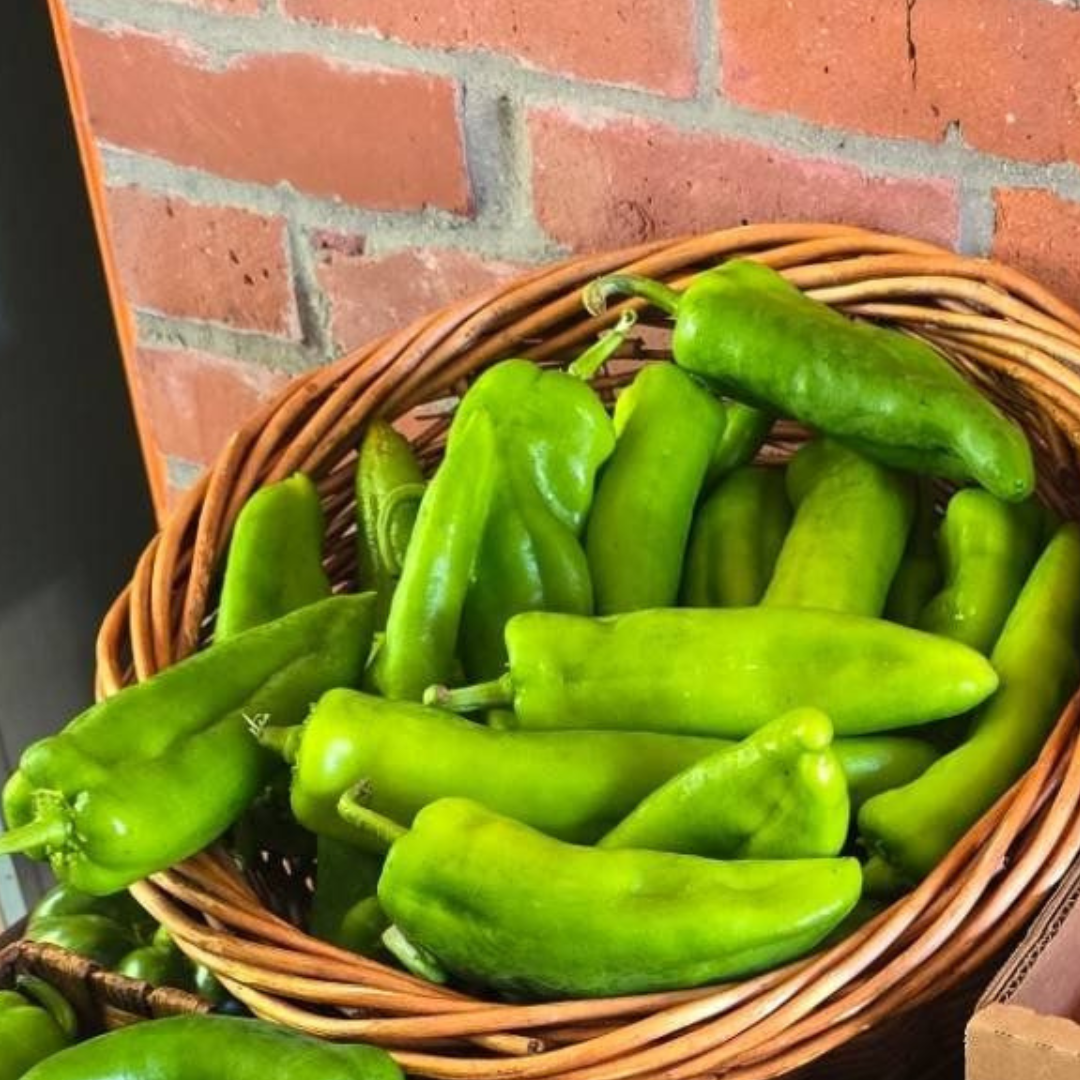 Anaheim Pepper (aka Hatch Chiles) Anaheim Pepper (aka Hatch Chiles)