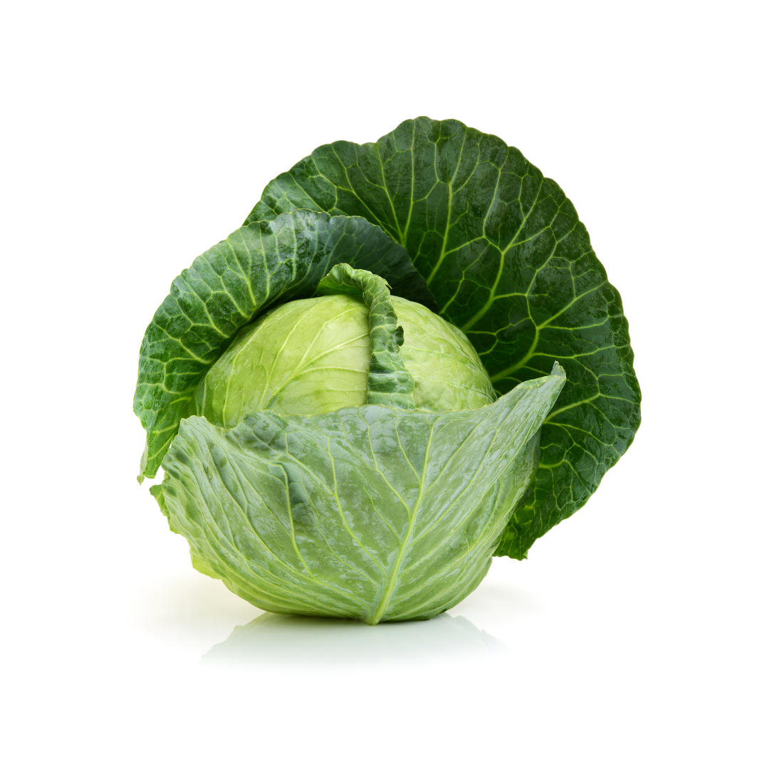 Green Cabbage Green Cabbage