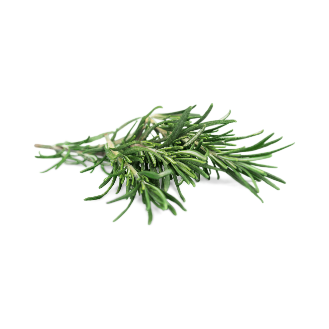 Fresh Rosemary