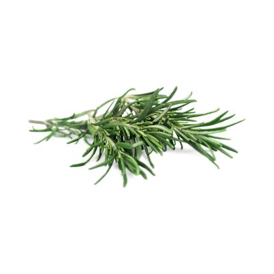 Fresh Rosemary