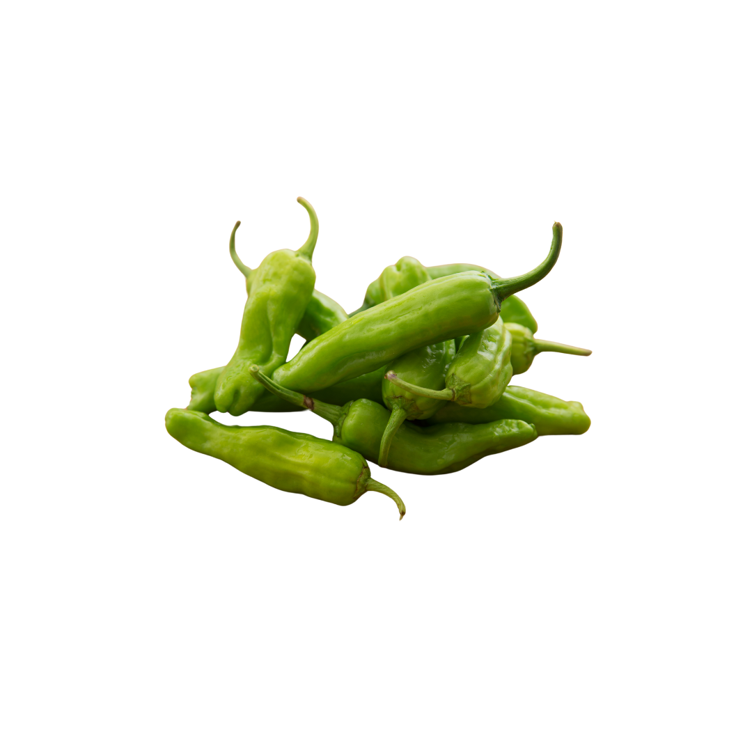 Pepper (Shishito) Pepper (Shishito)