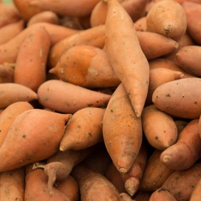 White Sweet Potatoes