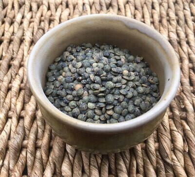 Black Lentils Black Lentils