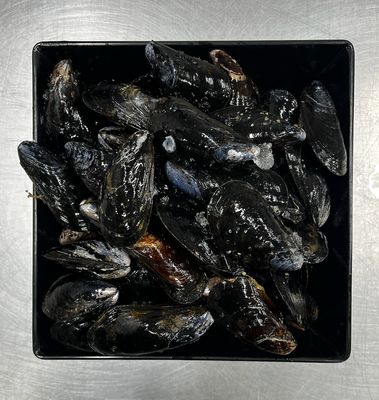 Mussels