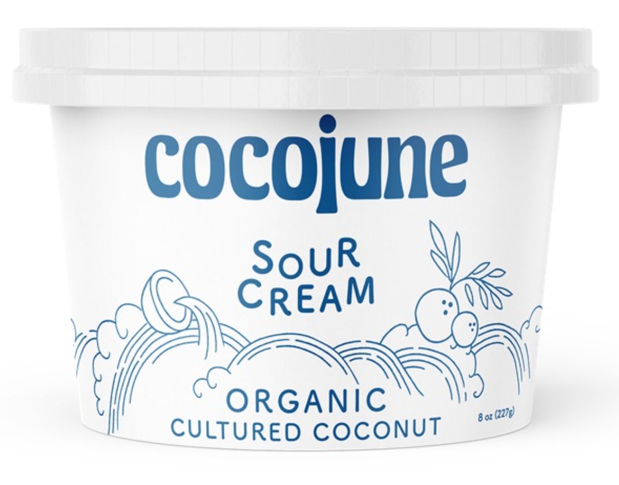 Dairy-Free Sour Cream