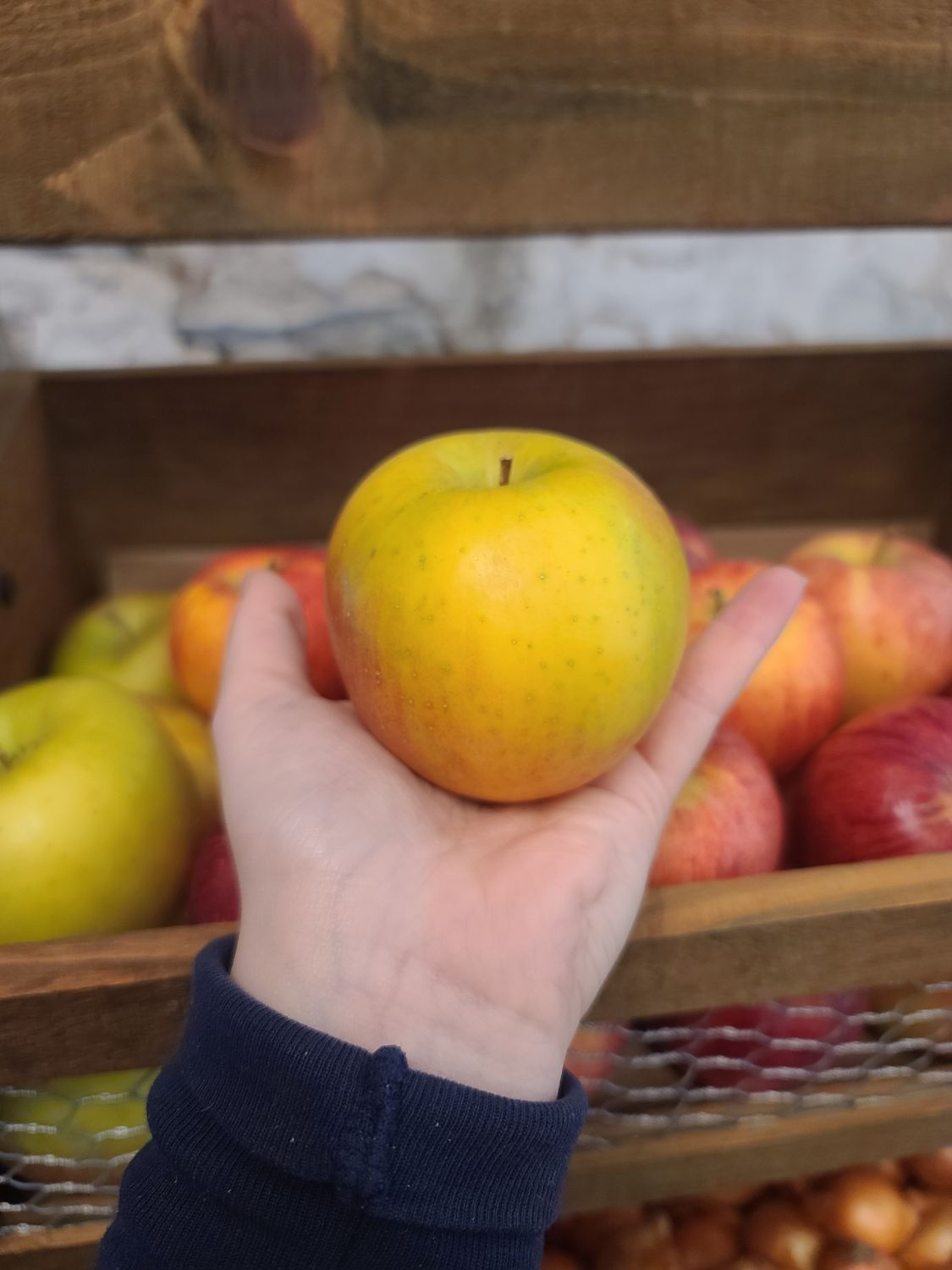 Apples Apples