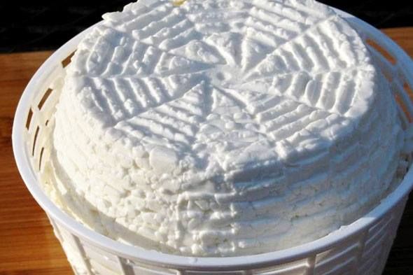 Basket Cheese Basket Cheese