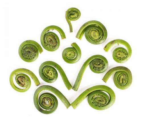 Fiddleheads Fiddleheads