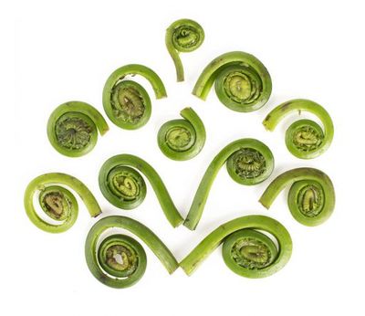 Fiddleheads Fiddleheads