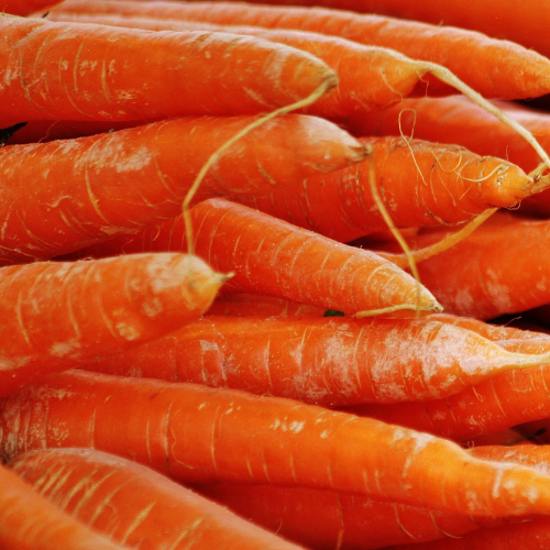 Carrots (Bunched/with greens)