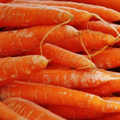 Carrots (Bunched/with greens)