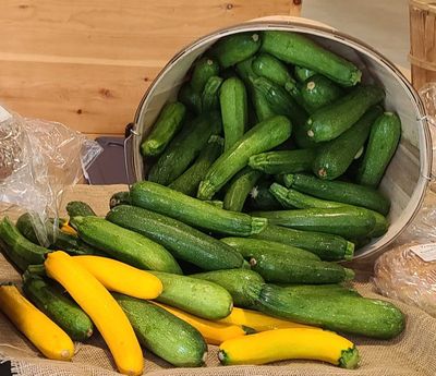 Zucchini & Summer Squash