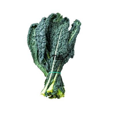 Tuscano (Lacinato) Kale