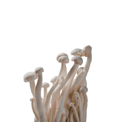 Enoki Mushrooms Enoki Mushrooms