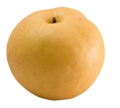 Asian Pears (Olympic) Asian Pears (Olympic)