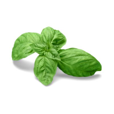 Fresh Thai Basil