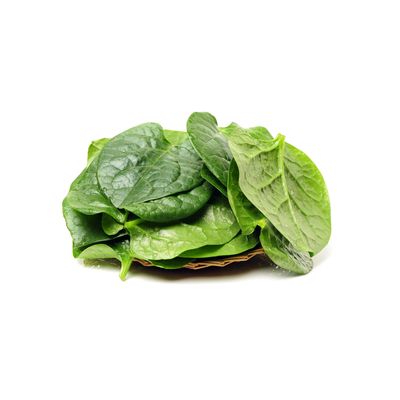 Malabar Spinach