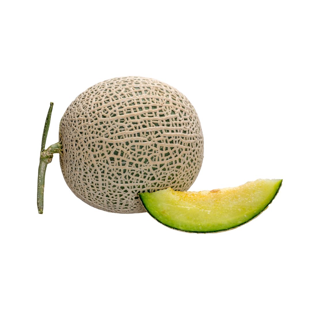 Honeydew Melon