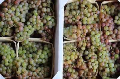 Grapes (Seedless) Grapes (Seedless)