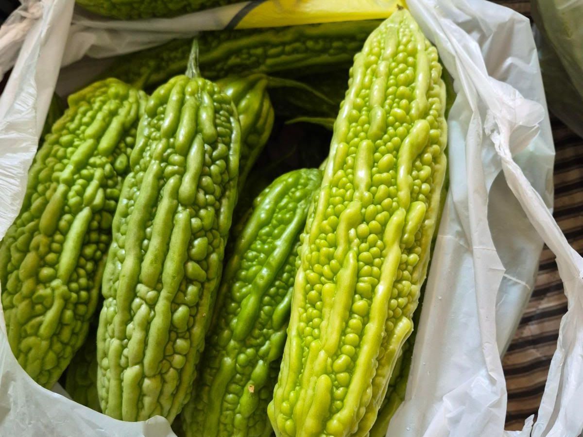 Bitter Melon