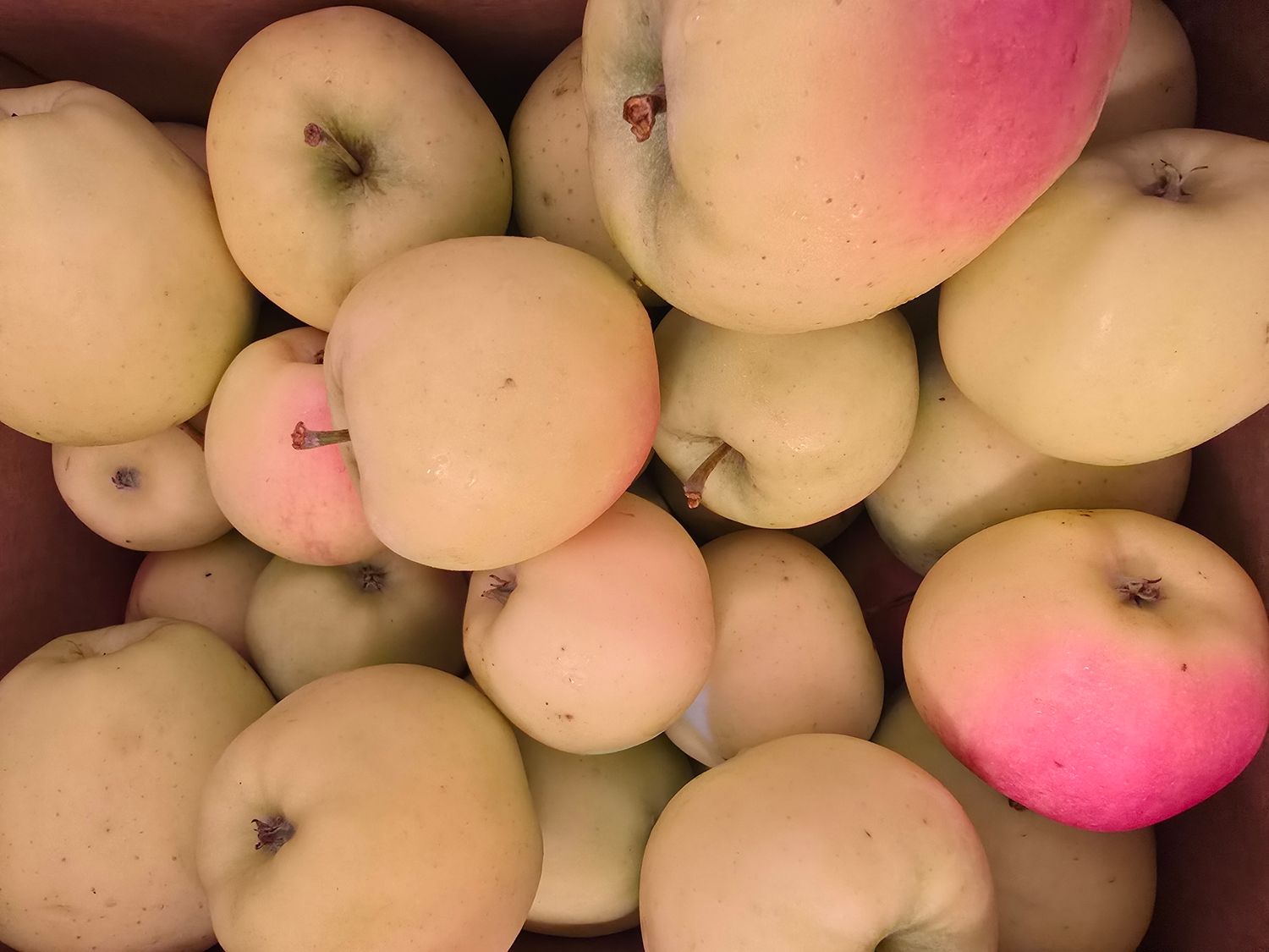 Apple - Ginger Gold