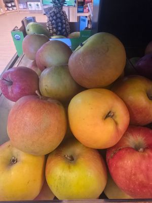 Apple - Spencer