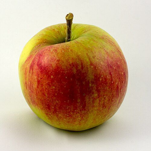 Apple - Jonagold