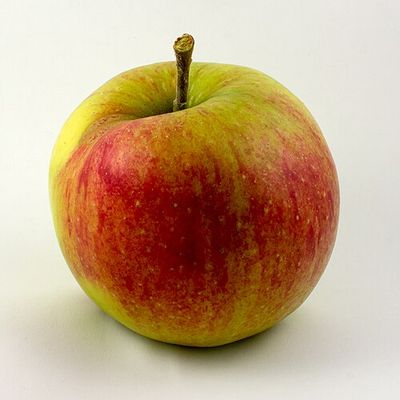 Apple - Jonagold Apple - Jonagold