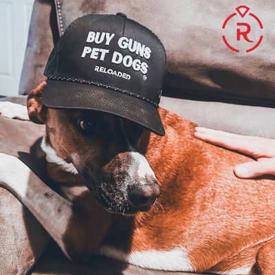 Buy Guns Pet Dogs ™