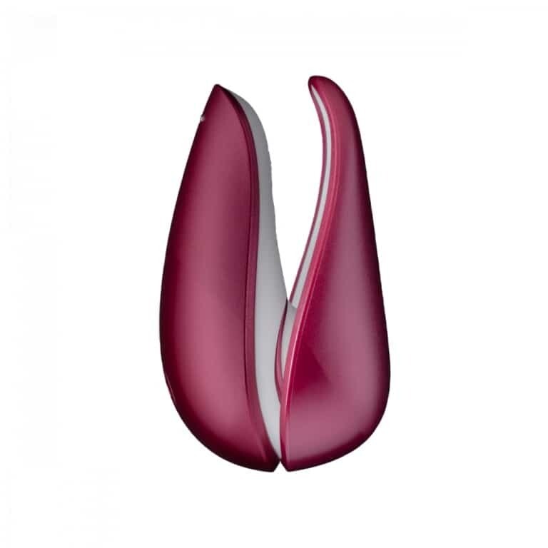 Aspirateur clitoridien Liberty Womanizer Aspirateur clitoridien Liberty Womanizer