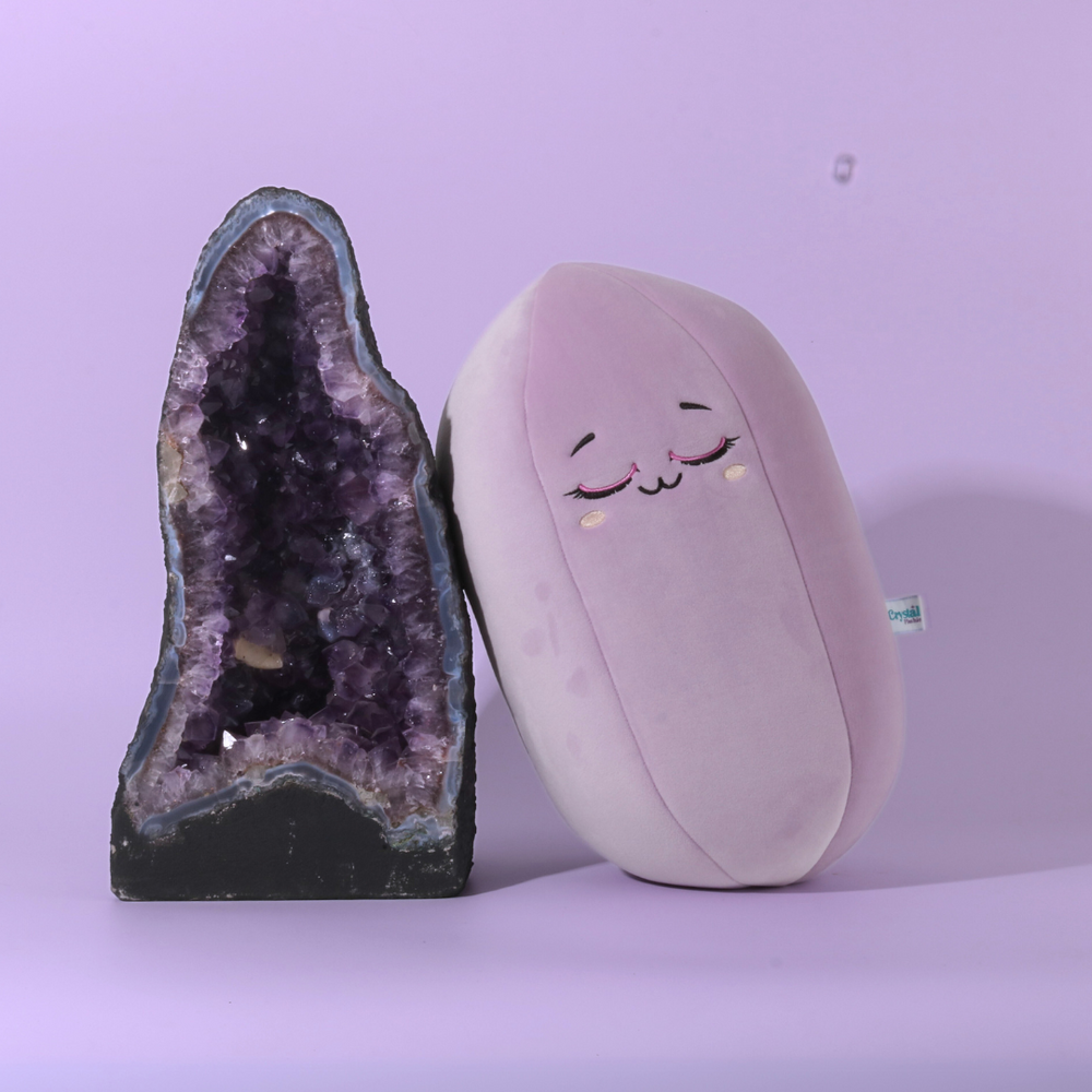 NEW! Santa Barbara Medium 🔮 Crystal Plushie Pals 💎🧸