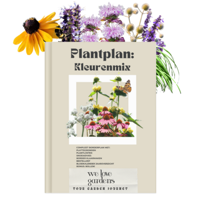 Magazine plantplan zon: kleurenmix