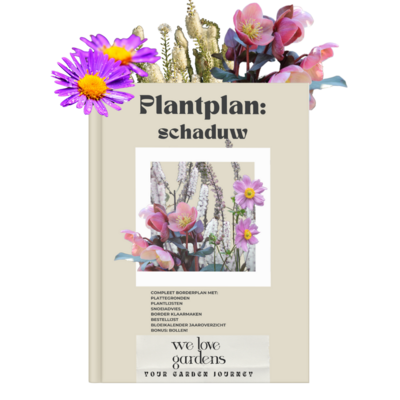 E-boek plantplan schaduw