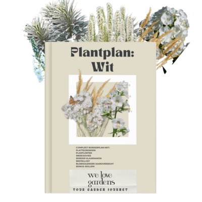 E-boek plantplan zon: wit